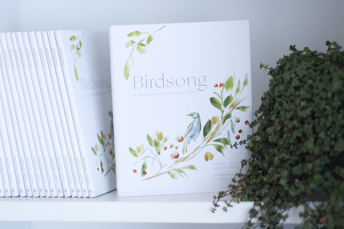 Birdsong: A Melody for Motherhood